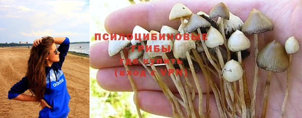 спайс Абаза