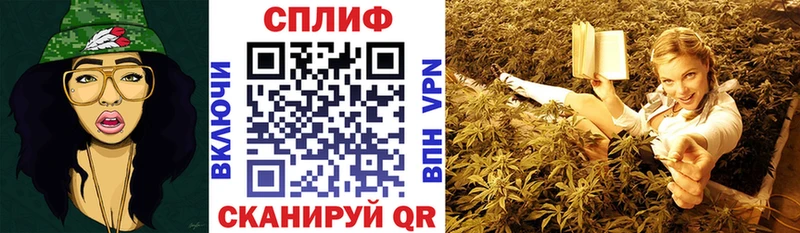 закладки  Райчихинск  мега маркетплейс  Конопля AK-47 